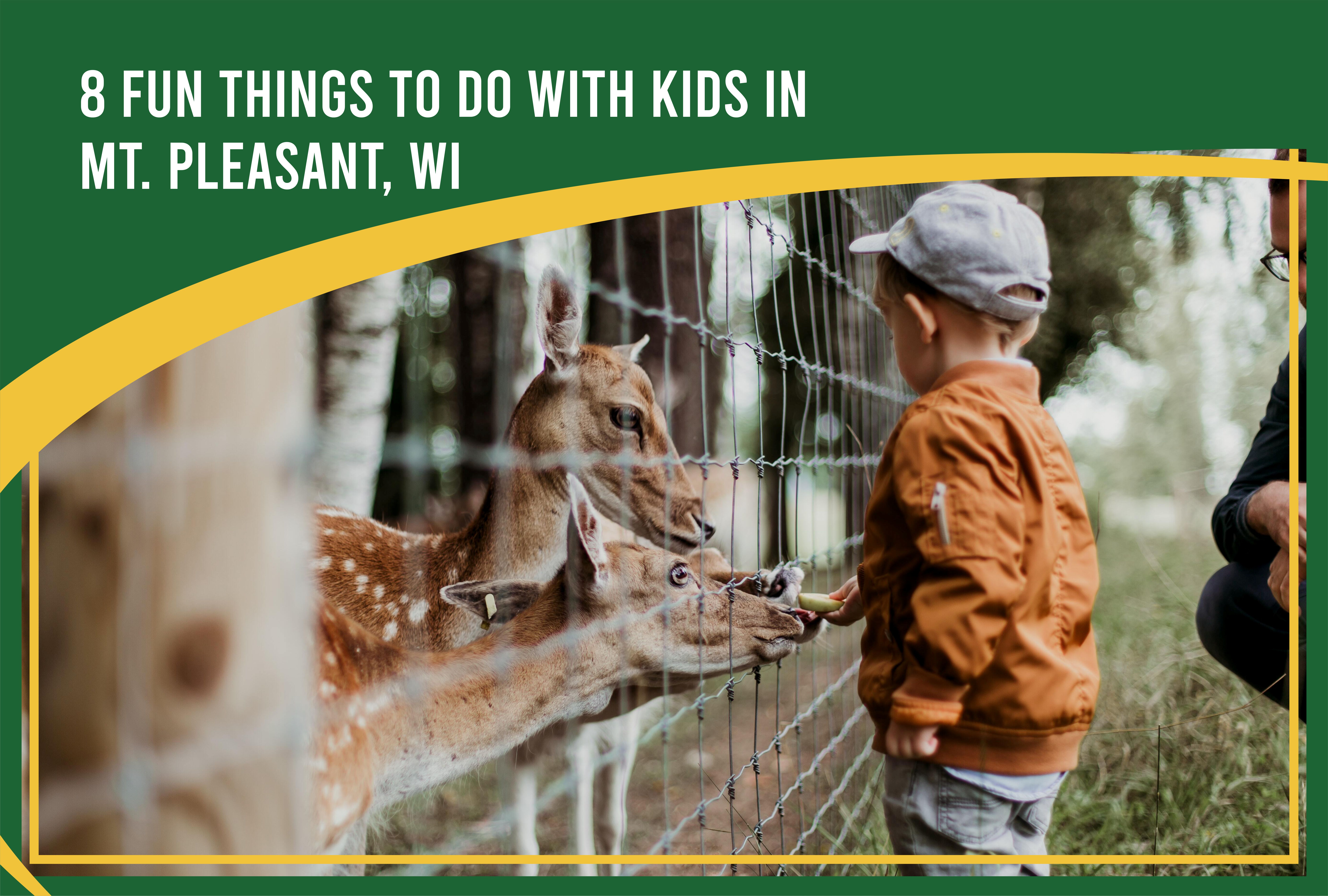 Fun Things to Do with Kids in Mt. Pleasant, WI